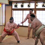 相撲　sumo