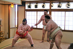 相撲　sumo