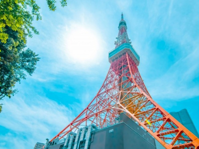 東京相撲部屋娯楽